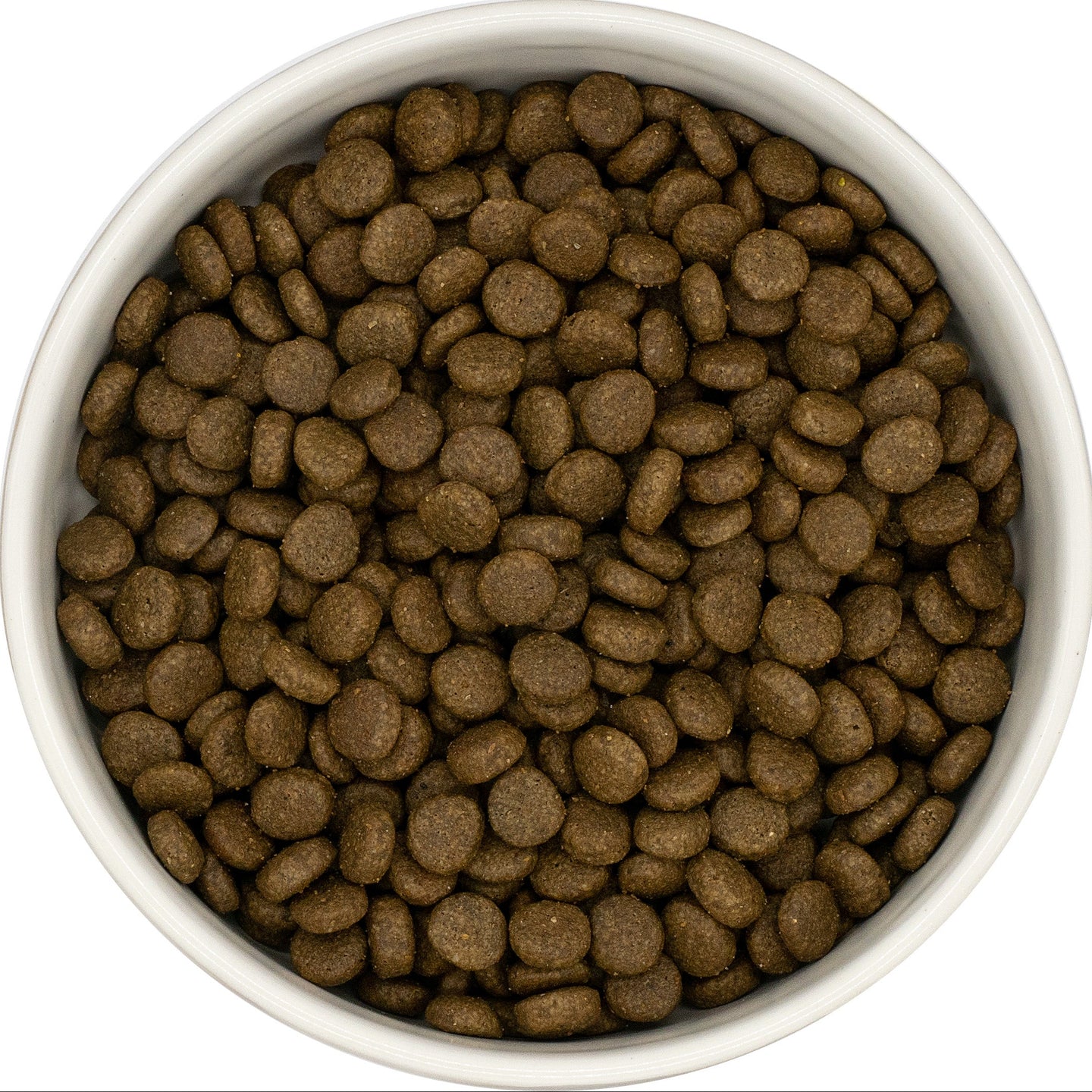 White bowl filled with connoisseur cat food on a white background