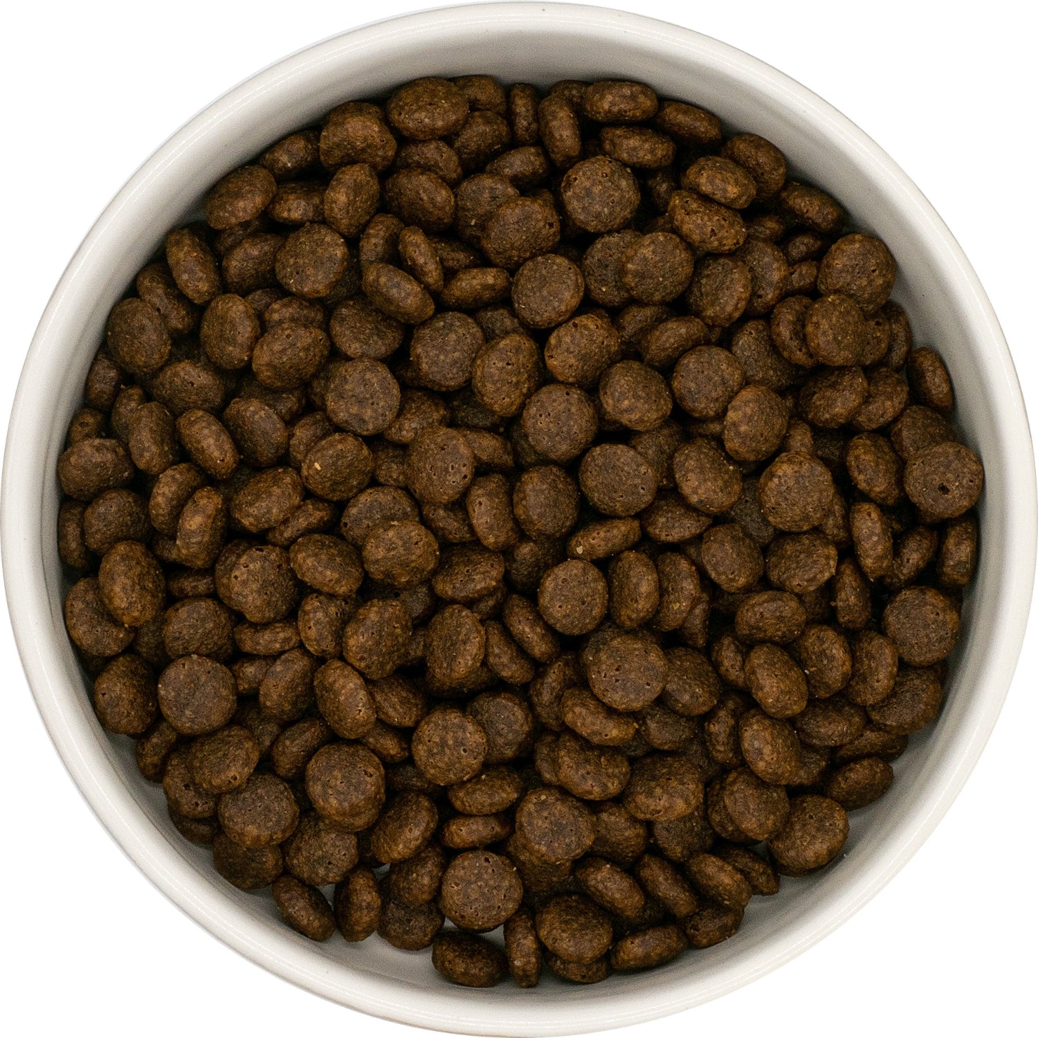 White bowl filled with brown grain free cat food on a white background