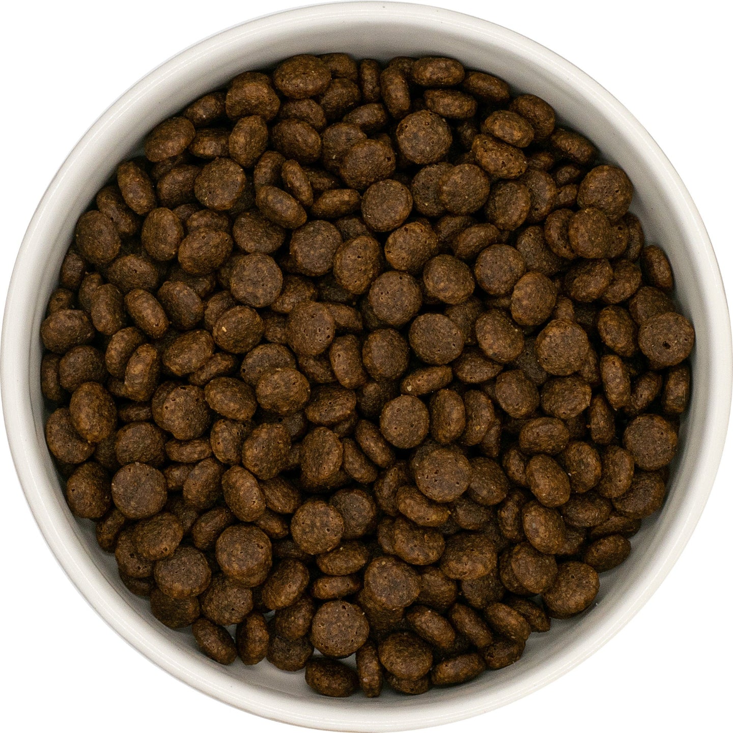 White bowl filled with brown grain free cat food on a white background
