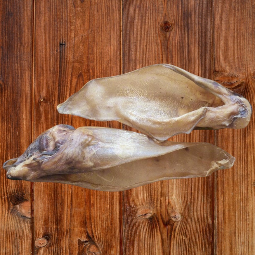 Closeup of two buffalo ears on a wooden surface