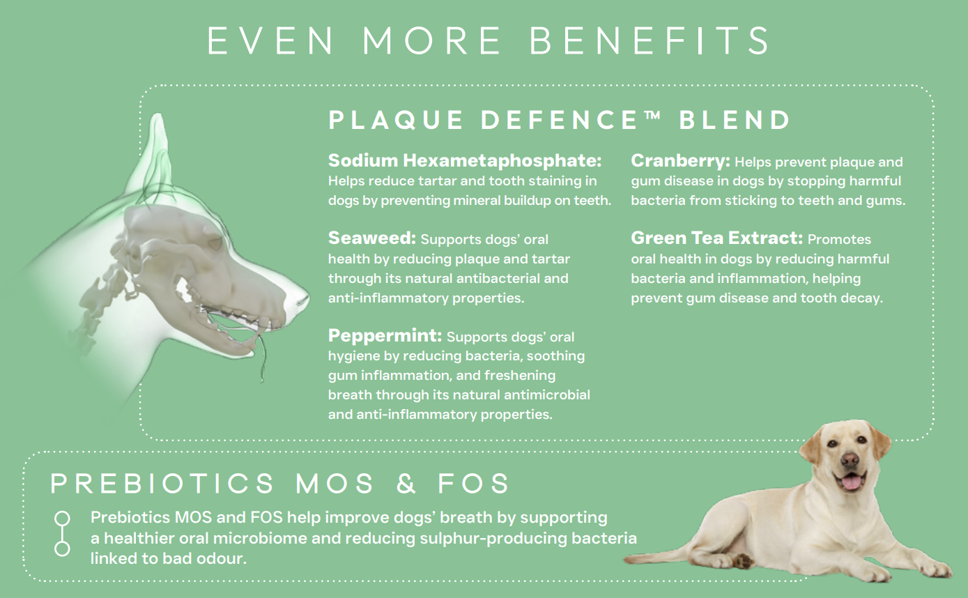 Product label detailing benefits of a plaque defense blend for dogs on a green background.