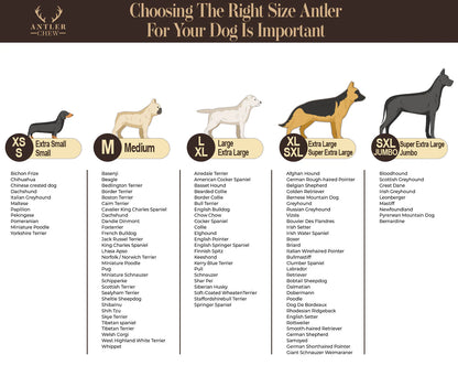 Chart of dog breed sizes with silhouettes and breed lists—ideal for picking Hilltop Pet Food’s Antler Chews.