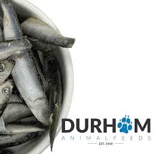 Hilltop Pet Food Durham (DAF) Frozen Sprats (1kg)—ideal for a natural pet diet, shown beside the brand logo.