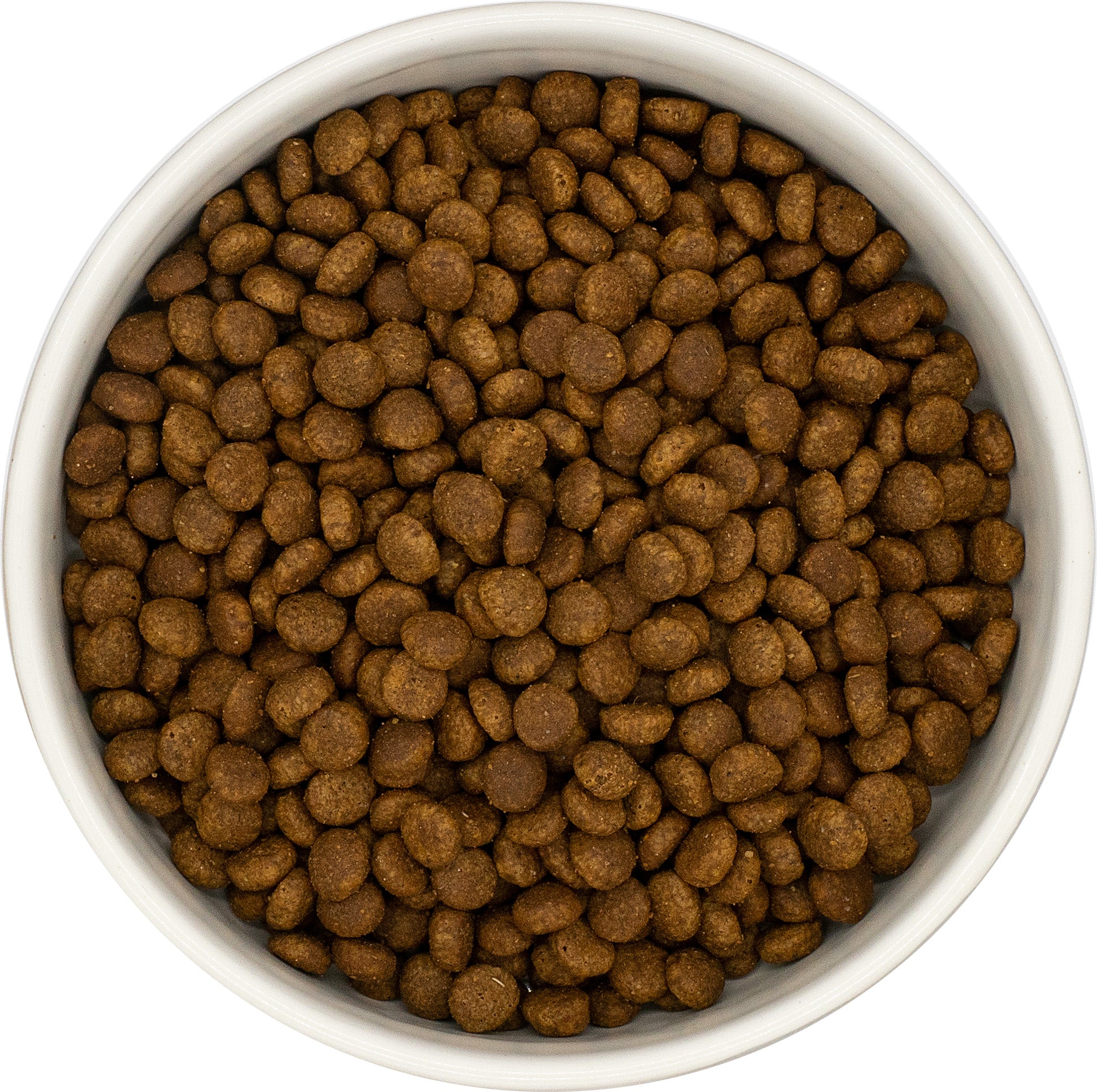 A white bowl filled with Hilltop Pet Foods KITTEN Turkey and Chicken kibble is seen from above.