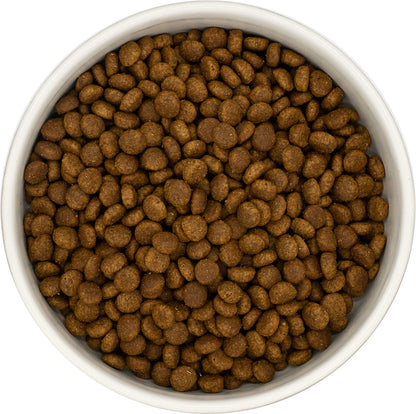 A white bowl filled with Hilltop Pet Foods KITTEN Turkey and Chicken kibble is seen from above.