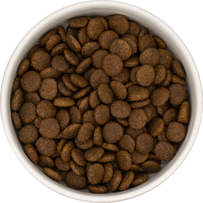A white bowl of Hilltop Grain Free Adult Dog Food - Duck, Sweet Potato & Orange, viewed from above.