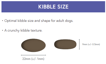Two oval kibbles show the texture of Hilltop Pet Food’s Super Premium Adult Fish & Potato with Skin-Soothe dog food.