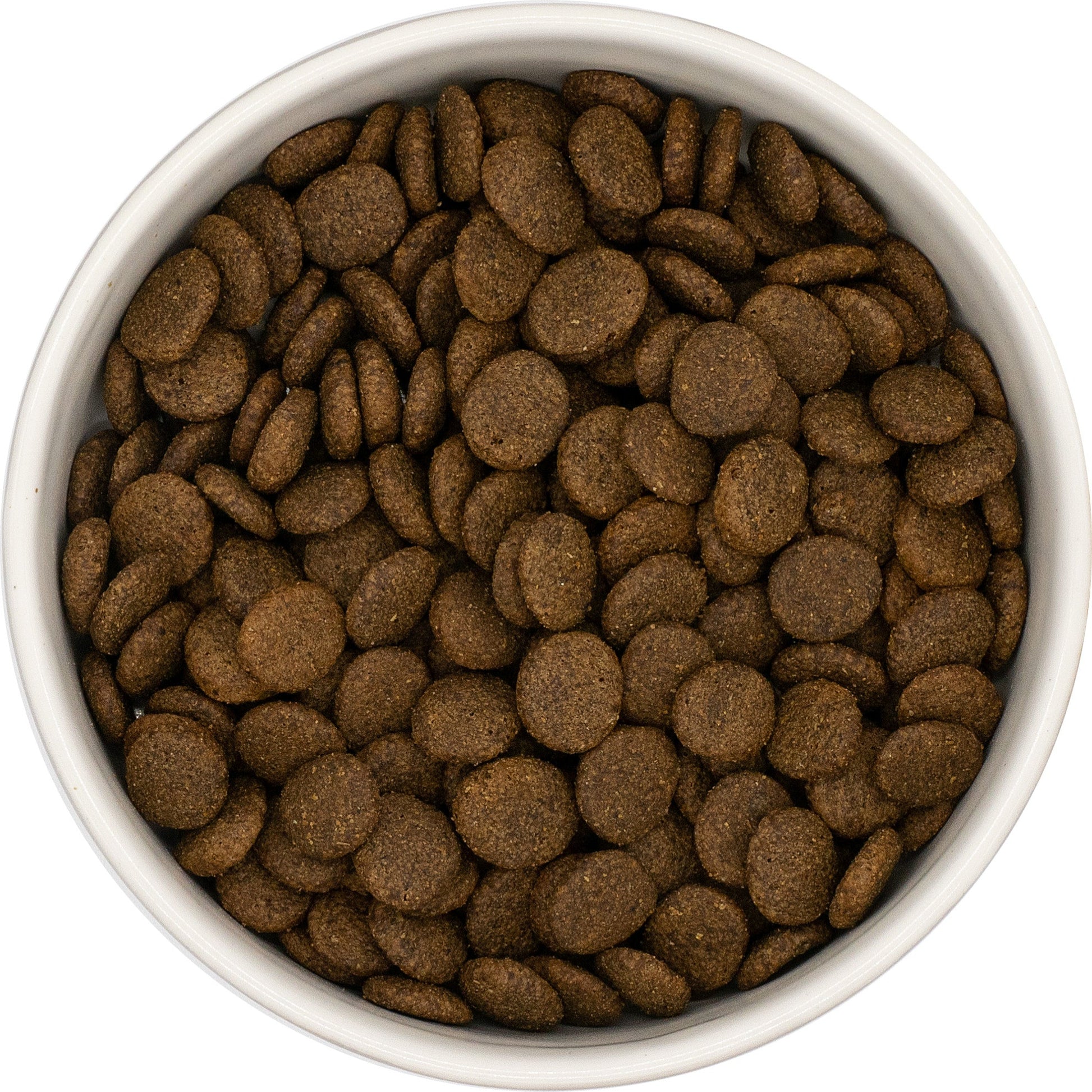 White bowl filled with Hilltop Grain Free Turkey Sweet Potato and Cranberry dog food on a white background