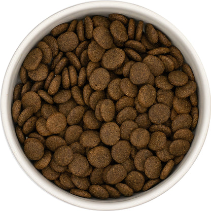 White bowl filled with Hilltop Grain Free Turkey Sweet Potato and Cranberry dog food on a white background