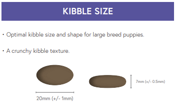 Hilltop Super Premium Puppy Large Breed Salmon & Potato: 2 brown oval kibbles, 20x7mm, hypoallergenic.
