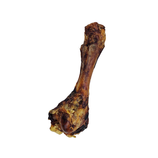 A single Hilltop Pet Food Pork Funny Bone (Humerus) with crispy bits, perfect as a dog dental treat on a white background.