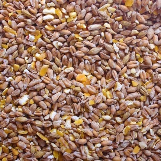 Close-up of Hilltop Pet Food Poultry Mixed Corn 20kg, showing brown and yellow grains and cracked corn.