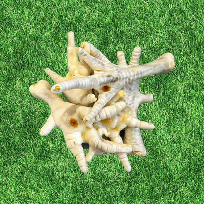 A small bundle of puffed chicken feet on a grassy background