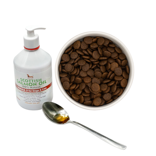 A bowl of brown dog kibble, Hilltop Pet Food Scottish Salmon Oil, and a spoon with omega-3 for dogs.