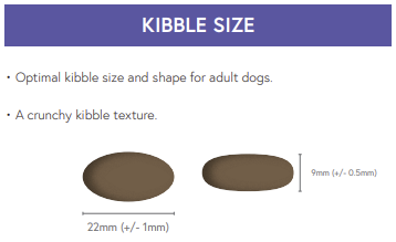Two brown oval kibbles, 22mm x 9mm, shown as size/texture for Hilltop Super Premium Salmon & Potato dog food.