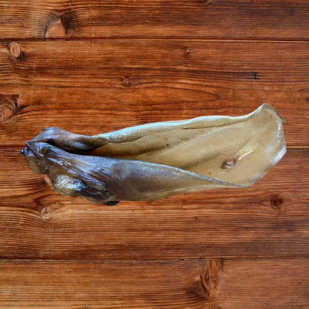 Closeup of a single buffalo ear on a wodden surface